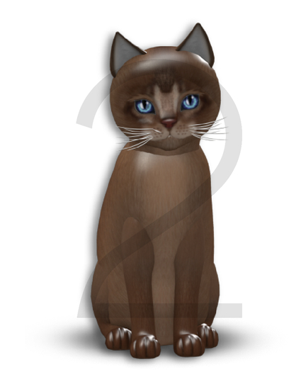 KittyCatS Box - 9T-M Abyssinian Ruddy - Normal