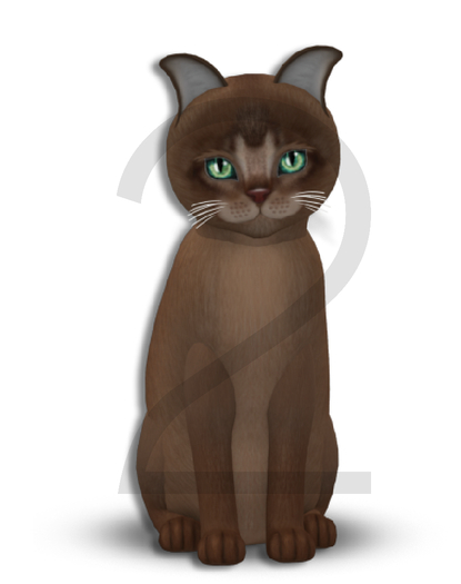 KittyCatS Box - 9T-M Abyssinian Ruddy - Normal / Porcelain - Mysterious