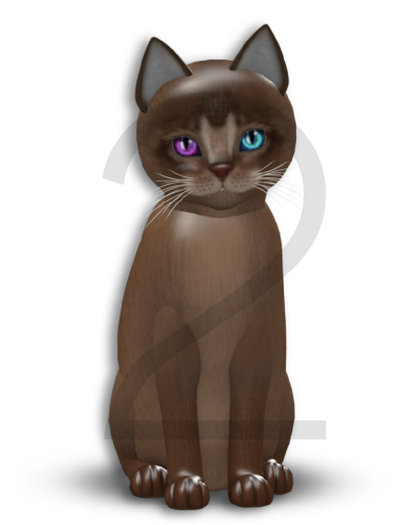 KittyCatS Box - 9T-M Abyssinian Ruddy - Normal