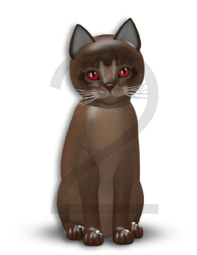 KittyCatS Box - 9T-M Abyssinian Ruddy - Normal