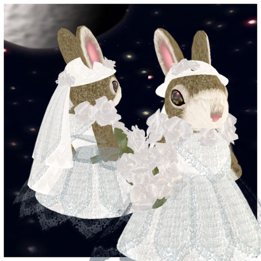 *VLC* Tiny Wedding Dress