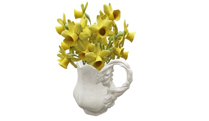 Apple Fall Daffodils Jug