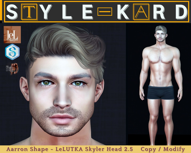 [STYLE-KARD] Aarron Shape - Lelutka Skyler 2.5