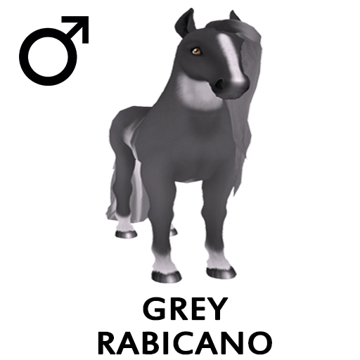 Amaretto Breedable Bundle Grey Rabicano 8