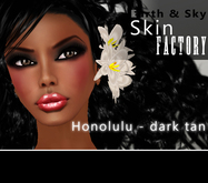 Honolulu Skins dark tan demos by Earth & Sky Skin Factory x