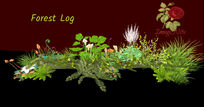 ImagiNits  Fallen Woodland Log box