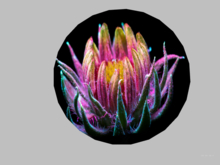 Wall decor-Flower 9