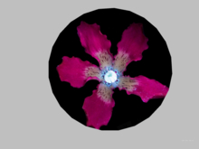 Wall decor-Flower 8