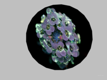 Wall decor-Flower 7
