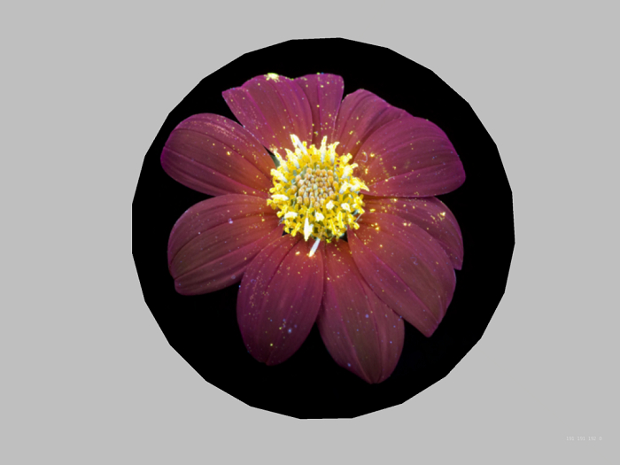 Wall decor-Flower 5