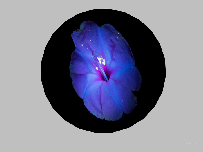Wall decor-Flower 3