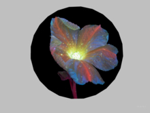 Wall decor-Flower 1