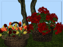 [AE] Garden Store - Tulips in Wicker Basket
