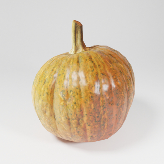 Harvest Pumpkin