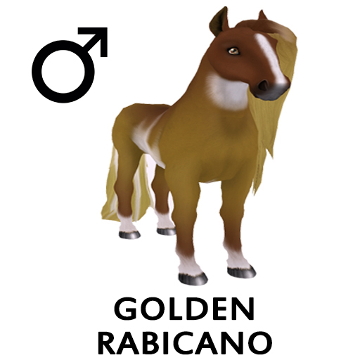 Amaretto Breedable Bundle Golden Rabicano 6