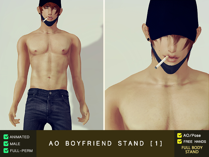 Second Life Marketplace AO Boyfriend Stand 1