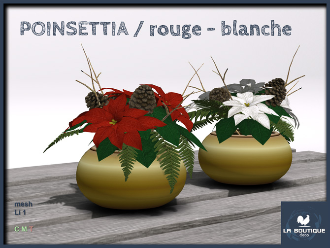 LB - Poinsettia