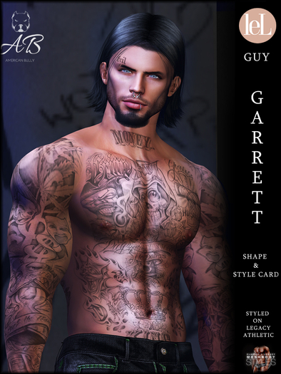 AB-GARRETT Shape