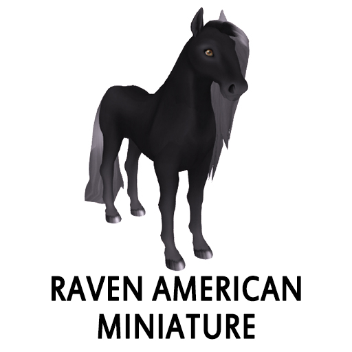 Amaretto Breedable Bundle Raven American Miniature 6