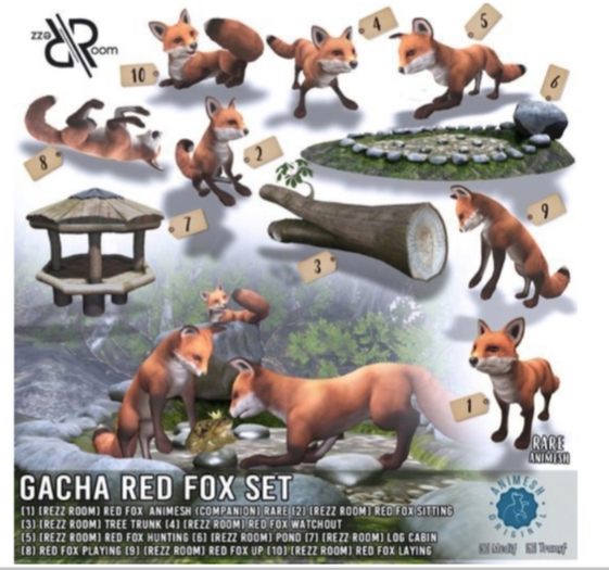 [Rezz Room] Box Red Fox Sitting