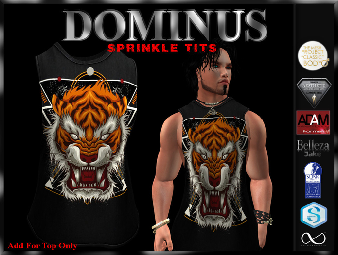 ~DOMINUS~Tiger TANK (ADD)