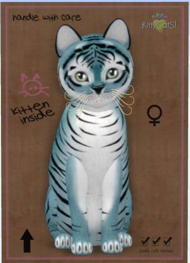 KittyCatS Box - Dusky Blue