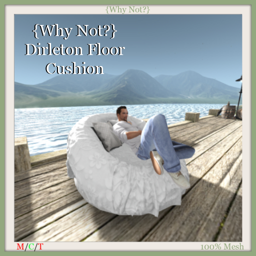 {Why Not?} Dirleton Floor Cushion-Boxed