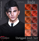 {Limerence} James hair-Reds