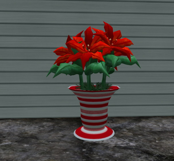 SSD Poinsettia Flowers Red 1 V