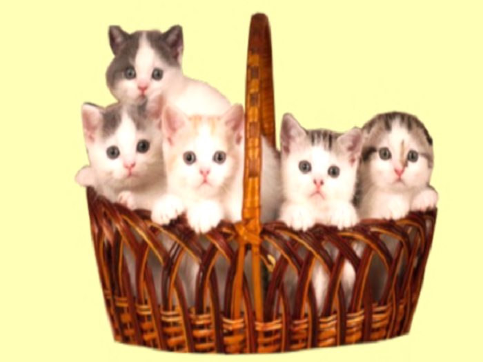 5 CURIOUS KITTENS IN BASKET 1 PRIM ALPHA DECAL OR WOOD CUTOUT