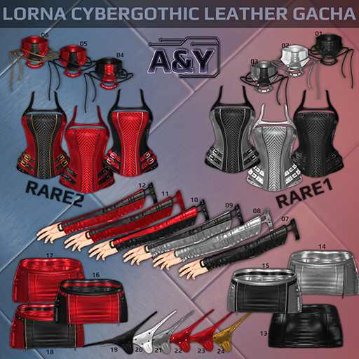 A&Y - Lorna Leather Corset 1 RARE