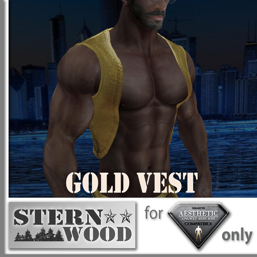 {JS} Aesthetic Vest - Gold