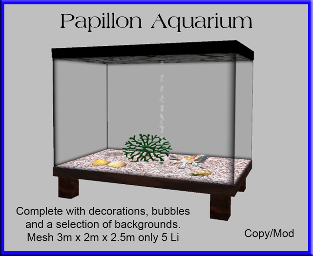 Blue Dragon Aquarium