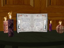 BOOK  "HelterSkelter" - Poems