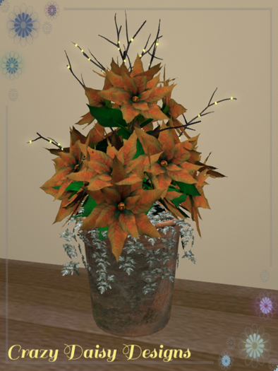 Poinsettia in Terracotta - Autumn