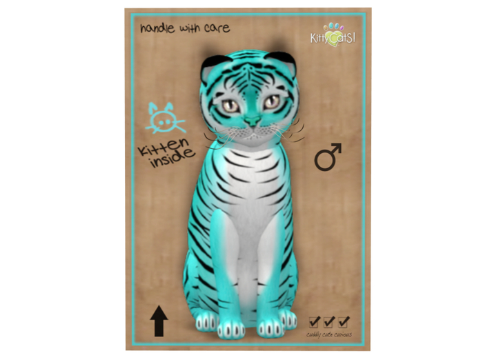 KittyCatS Box - 9T - M - Tiger! - Turquoise