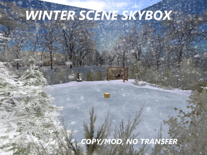 WINTER SCENE SKYBOX WITH ICESKATES AND FALLING SNOW