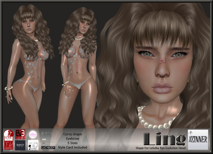 Zinner Shapes & Gallery - Ling Shape (Boxed)