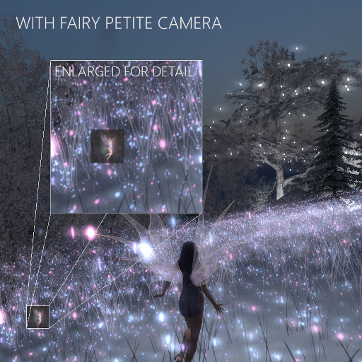 ADM Fairy Petite Camera HUD (Add to Unpack)