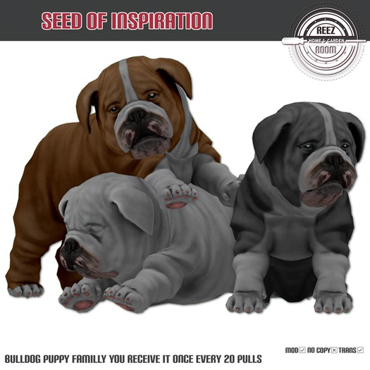 [Rezz Room] Box Bulldog Puppy Familly ( Seed Of Inspiration )
