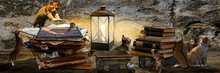 Cats and Mice 01