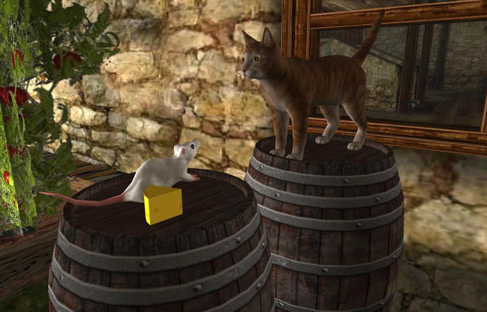 Cat, Rat, Chees, Barrels, modify and copy