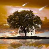 Trees 02