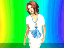 Princess Mesh Blouse-Cinderella