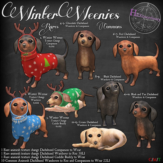 12. *HEXtraordinary* Dachshund Wanderer Cream