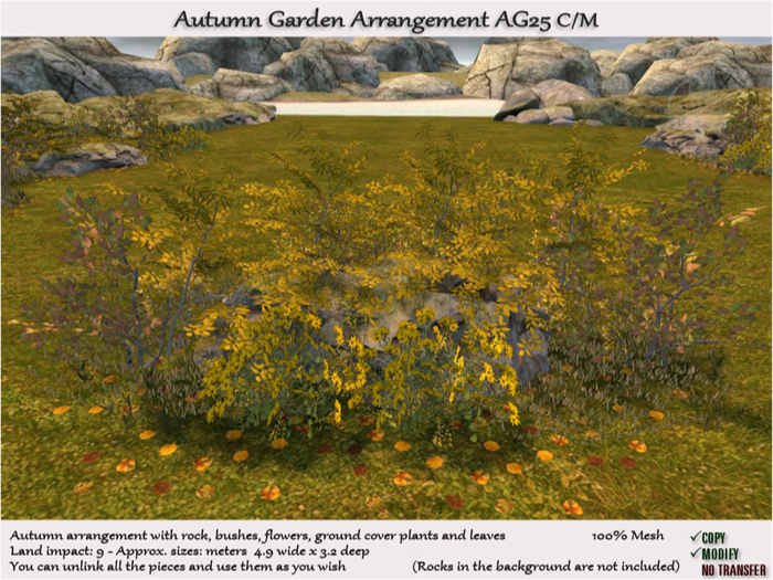 Autumn Garden Plants Rocks Arrang. AG25 C/M 