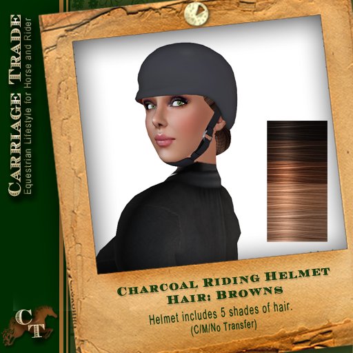 @CT@ Riding Helmet Charcoal/Brown