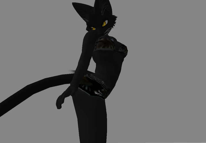 Ebony Felis Box