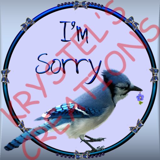 Sorry43 I'm Sorry (Rezz Me)