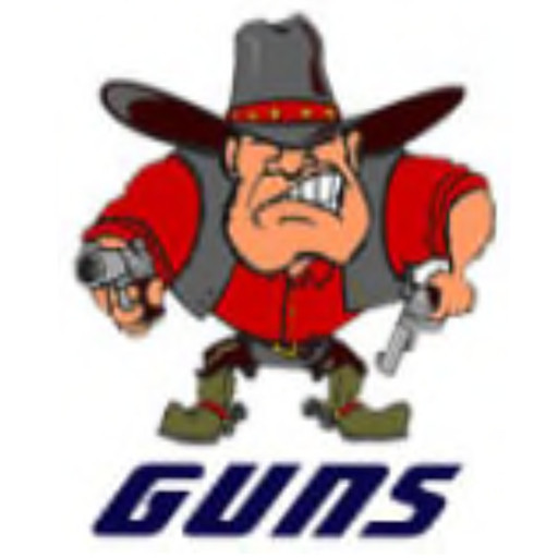 Guns full permissions